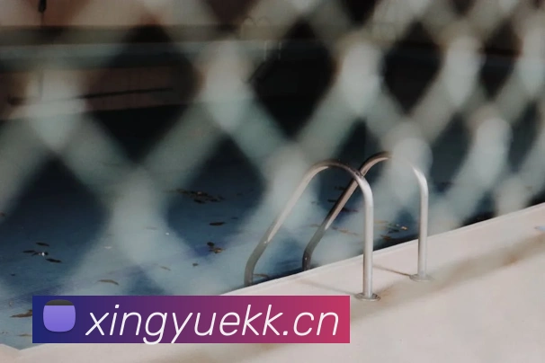 开云官方登录平台生态图