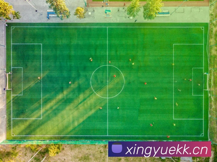 开云官方登录全站App 开云官方登录全站App